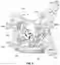Fig. 07 - BODY STRUCTURE IMAGING