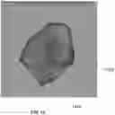 Fig. 17 - BODY STRUCTURE IMAGING