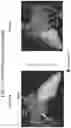 Fig. 19 - BODY STRUCTURE IMAGING
