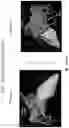 Fig. 21 - BODY STRUCTURE IMAGING