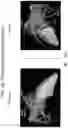 Fig. 22 - BODY STRUCTURE IMAGING