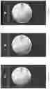Fig. 69 - Systems and methods for detecting data acquisition conditions using color-based penalties