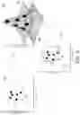 Fig. 05 - Disease diagnosing method and disease diagnosing system