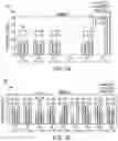 Fig. 33 - MEASURING AND STRENGTHENING PHYSIOLOGICAL/NEUROPHYSIOLOGICAL STATES PREDICTIVE OF SUPERIOR PERFORMANCE