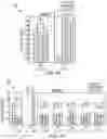 Fig. 34 - MEASURING AND STRENGTHENING PHYSIOLOGICAL/NEUROPHYSIOLOGICAL STATES PREDICTIVE OF SUPERIOR PERFORMANCE