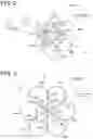 Fig. 03 - Electrode catheter