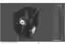 Fig. 01 - Heart graphic display system