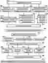 Fig. 01 - Systems and methods for observing eye and head information to measure ocular parameters and determine human health status