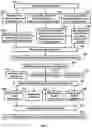 Fig. 02 - Systems and methods for observing eye and head information to measure ocular parameters and determine human health status