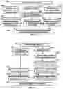 Fig. 13 - Systems and methods for observing eye and head information to measure ocular parameters and determine human health status