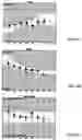 Fig. 18 - Systems and methods for observing eye and head information to measure ocular parameters and determine human health status