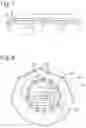 Fig. 05 - SPECT-scanner and collimator