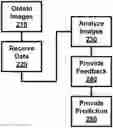 Fig. 01 - Premature birth prediction