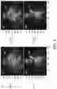 Fig. 05 - Methods and systems for segmentation and rendering of inverted data