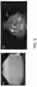 Fig. 07 - Methods and systems for segmentation and rendering of inverted data
