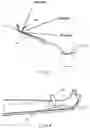 Fig. 03 - Wide hemostasis clip