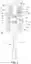 Fig. 03 - Tool for bone implant