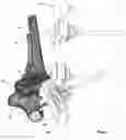 Fig. 04 - CLAMPING DEVICES FOR EXTERNAL FIXATION DEVICE