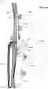 Fig. 22 - CLAMPING DEVICES FOR EXTERNAL FIXATION DEVICE