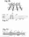 Fig. 05 - DYNAMIC STABILIZATION CONNECTING MEMBER WITH PRE-TENSIONED SOLID CORE MEMBER