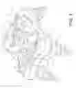Fig. 03 - Anterior cervical plate assembly