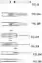 Fig. 27 - BONE IMPLANTS FOR THE TREATMENT OF INFECTION