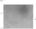 Fig. 07 - MICROFLUIDIC CHIP FOR ATTRACTING AND DESTROYING A SPECIFIC BIOLOGICAL ELEMENT