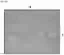 Fig. 09 - MICROFLUIDIC CHIP FOR ATTRACTING AND DESTROYING A SPECIFIC BIOLOGICAL ELEMENT