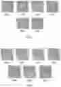 Fig. 07 - Method and apparatus for selective treatment of biological tissue