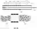 Fig. 11 - HYDROGEL CO-INJECTION AND REAL-TIME OPTO-ELECTROMAGNETIC MODIFICATION DEVICE FOR TUNABLE IN-VIVO DELIVERY