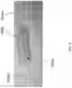 Fig. 07 - ACTUATION LINE STORAGE SYSTEMS AND METHODS
