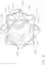Fig. 11 - Surgical instrument comprising an articulation indicator