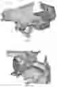 Fig. 02 - Zygomatic Dental Implant Guide and Method of Use