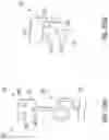 Fig. 104 - Dental appliances and associated systems and methods