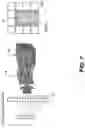 Fig. 12 - HIGH-SPEED, DENTAL OPTICAL COHERENCE TOMOGRAPHY SYSTEM