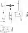 Fig. 16 - HIGH-SPEED, DENTAL OPTICAL COHERENCE TOMOGRAPHY SYSTEM