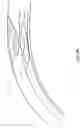 Fig. 07 - URETHRAL IMPLANT