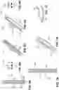 Fig. 09 - URETHRAL IMPLANT