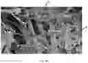 Fig. 21 - Composite scaffold for the repair, reconstruction, and regeneration of soft tissues