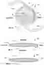 Fig. 04 - Intraocular lenses