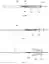 Fig. 37 - Stent apparatus having self-pleated skirt, processing method therefor, skirt pleating method, and cardiac valve