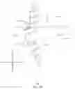 Fig. 03 - Rhomboid shaped implants