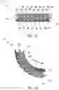 Fig. 07 - Pedicle-based intradiscal fixation devices and methods