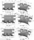 Fig. 08 - Pedicle-based intradiscal fixation devices and methods