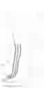 Fig. 01 - Foot orthosis