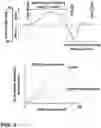 Fig. 03 - Differential and variable stiffness orthosis design with adjustment methods, monitoring and intelligence
