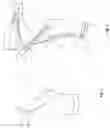 Fig. 04 - ORTHOPEDIC DEVICE FOR TREATING COMPLICATIONS OF THE HIP