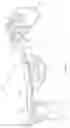 Fig. 30 - ORTHOPEDIC DEVICE FOR TREATING COMPLICATIONS OF THE HIP