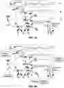 Fig. 03 - Systems and methods for cross-linking treatments of an eye