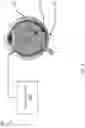 Fig. 02 - SMART VITRECTOR
